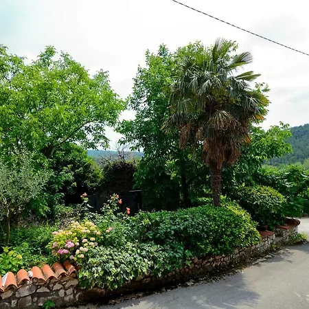 Apartman Cassa Jakov *